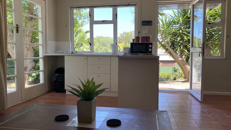 Table View Lodge Table View Blouberg Western Cape South Africa Palm Tree, Plant, Nature, Wood, Office