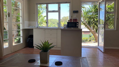 Table View Lodge Table View Blouberg Western Cape South Africa Palm Tree, Plant, Nature, Wood, Office