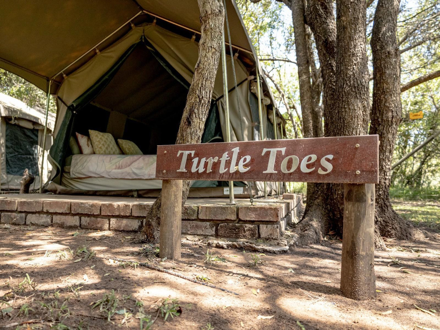 Tachiro Hunting And Fishing, Treasure Island (Backpacker Huts), Reptile, Animal, Tent, Architecture