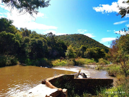 Tafreeh Retreats Kranspoort Mpumalanga South Africa Complementary Colors, Boat, Vehicle, River, Nature, Waters, Tree, Plant, Wood