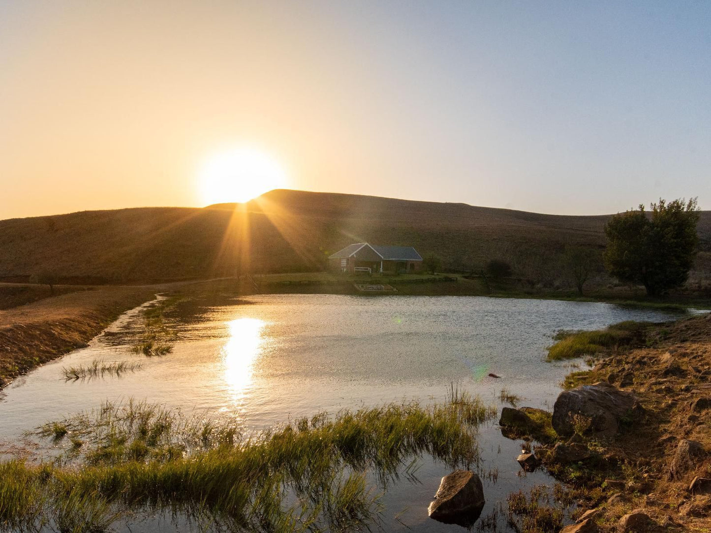 Talbot Trout Farm Machadodorp Mpumalanga South Africa Nature