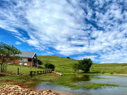 Talbot Trout Farm Machadodorp Mpumalanga South Africa Complementary Colors, Nature