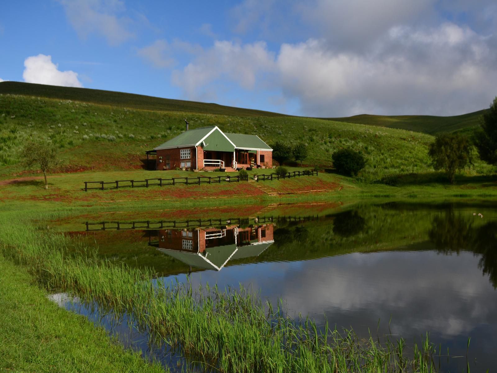 Talbot Trout Farm Machadodorp Mpumalanga South Africa Highland, Nature