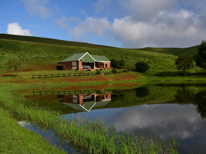 Talbot Trout Farm Machadodorp Mpumalanga South Africa Highland, Nature