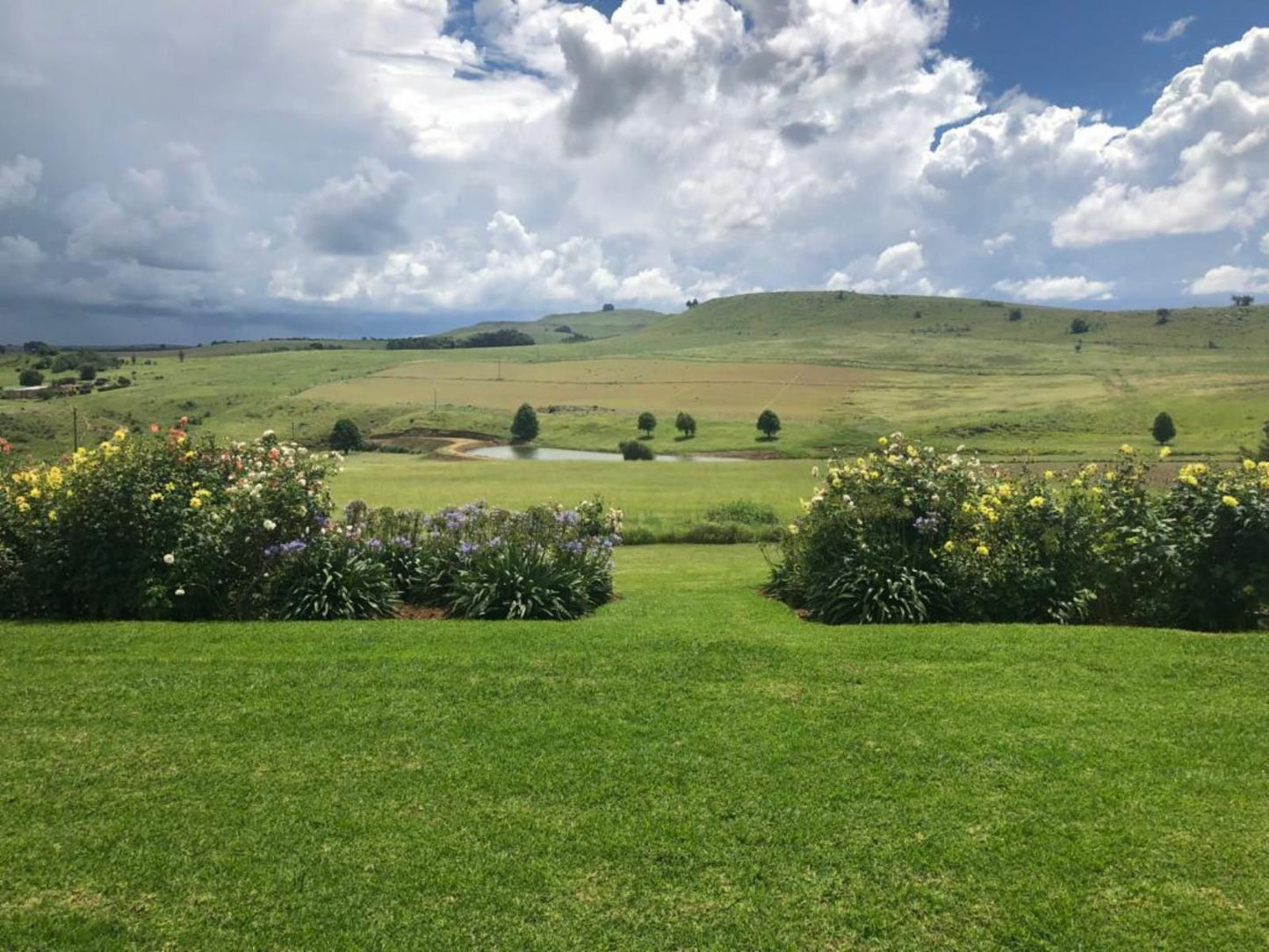 Talbot Trout Farm Machadodorp Mpumalanga South Africa Complementary Colors, Nature