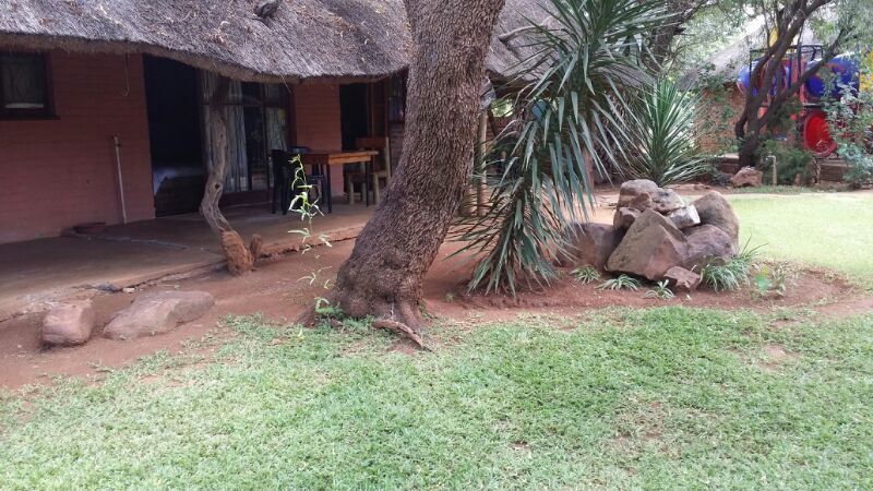 Tallie S Bush Lodge Zeerust North West Province South Africa Cabin, Building, Architecture, Palm Tree, Plant, Nature, Wood, Reptile, Animal