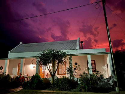 Ta Mala S Cottage Prince Albert Western Cape South Africa House, Building, Architecture, Palm Tree, Plant, Nature, Wood