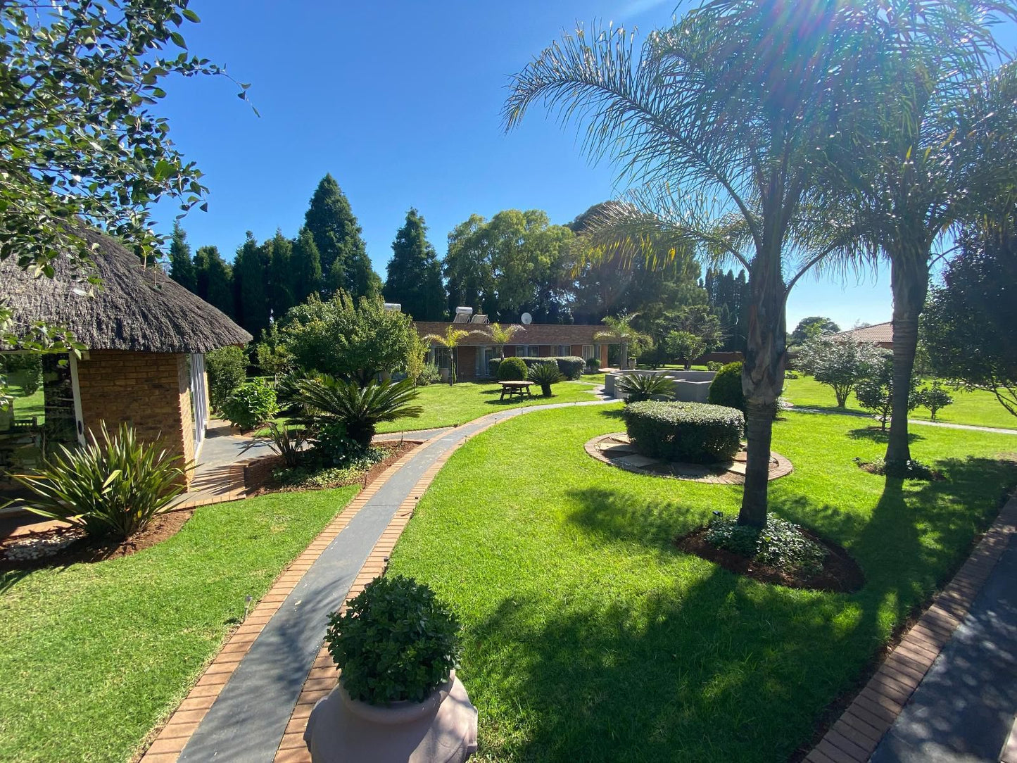 Tamarisk Guest Lodge Nortons Home Estates Johannesburg Gauteng South Africa Complementary Colors, House, Building, Architecture, Palm Tree, Plant, Nature, Wood, Garden