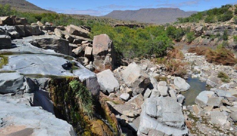 Tamboershoek Beaufort West Western Cape South Africa Cactus, Plant, Nature, Ruin, Architecture, Highland, Stone Texture, Texture