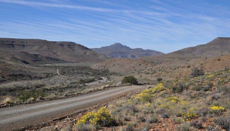 Tamboershoek Beaufort West Western Cape South Africa Desert, Nature, Sand, Street