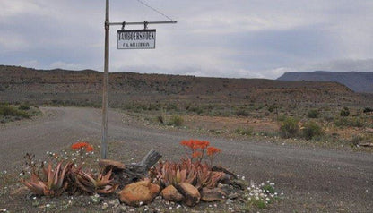 Tamboershoek Beaufort West Western Cape South Africa Unsaturated, Cactus, Plant, Nature, Sign, Text, Desert, Sand