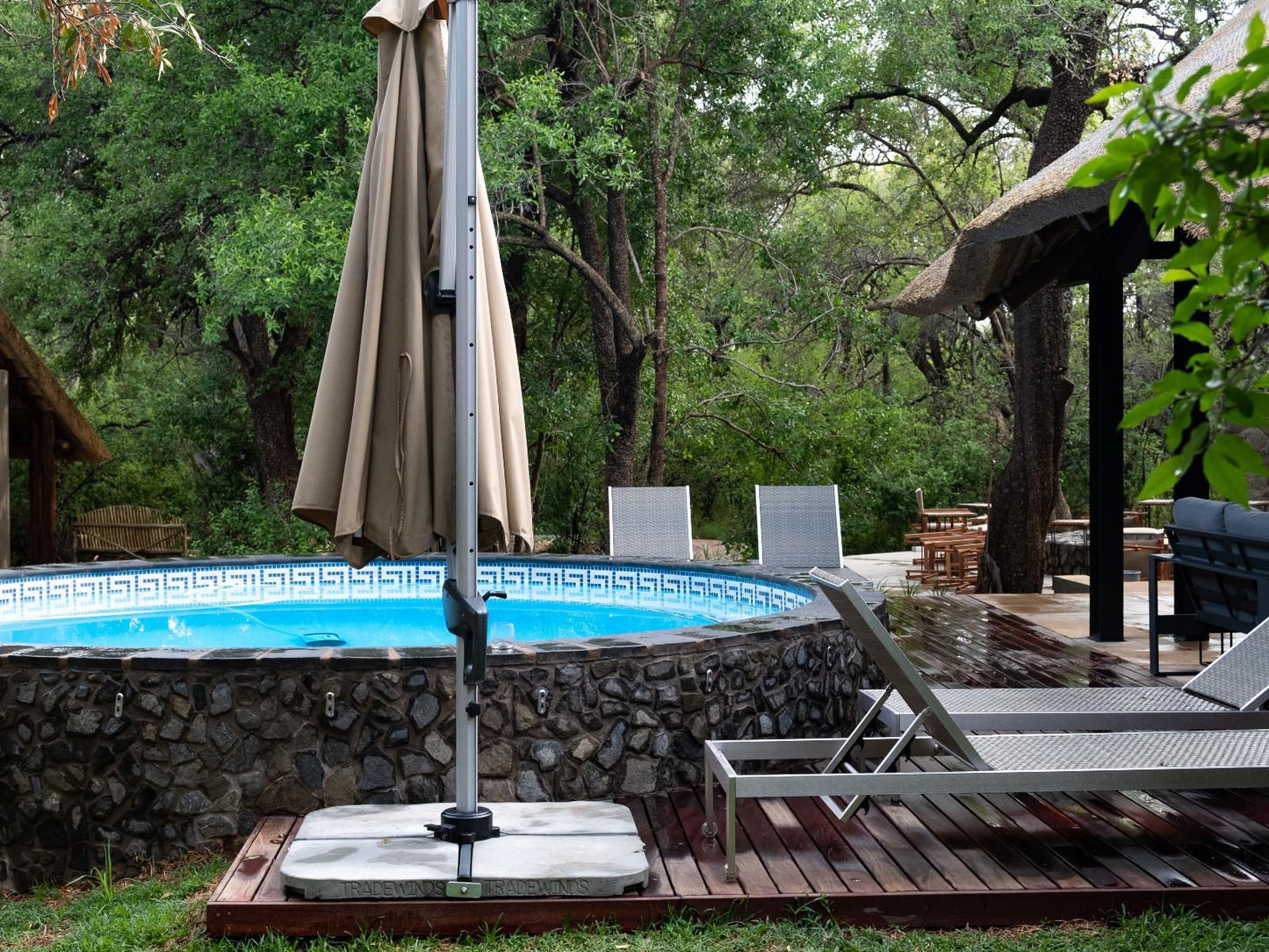 Kubu Metsi Safari Lodge Pilanesberg Game Reserve North West Province South Africa Swimming Pool