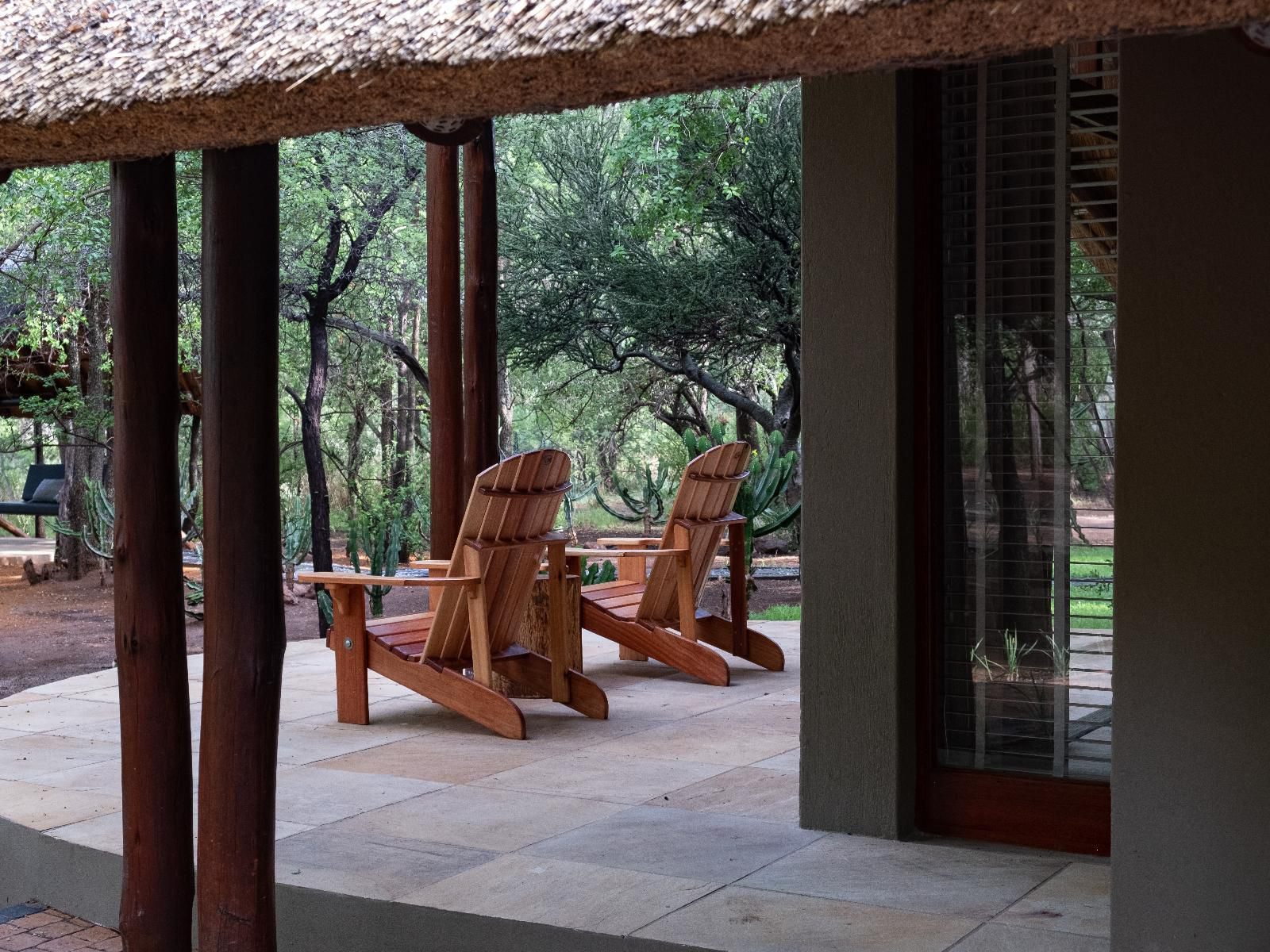 Kubu Metsi Safari Lodge Pilanesberg Game Reserve North West Province South Africa Framing