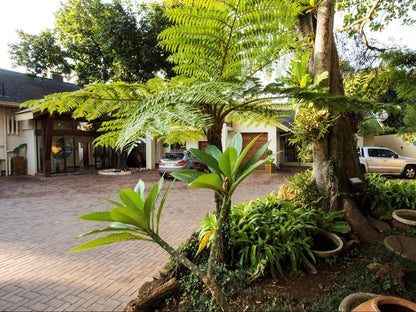 Tamboti Lodge Tzaneen Limpopo Province South Africa House, Building, Architecture, Palm Tree, Plant, Nature, Wood, Garden