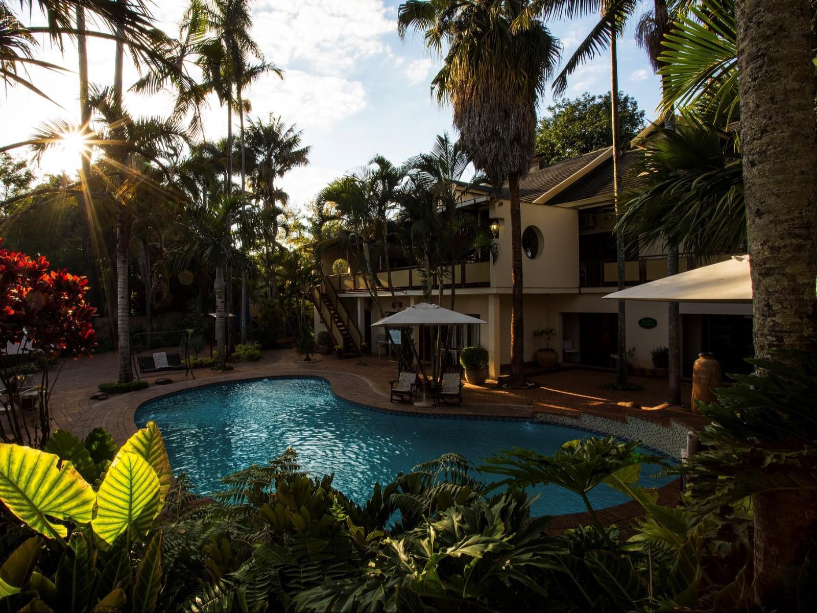 Tamboti Lodge Tzaneen Limpopo Province South Africa Palm Tree, Plant, Nature, Wood, Swimming Pool