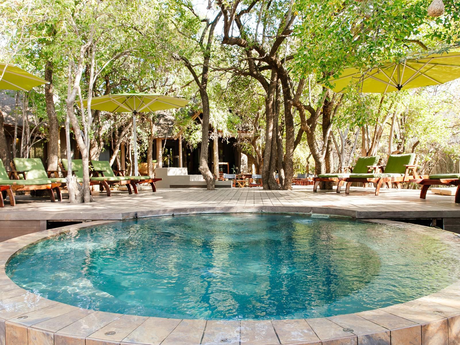 Tambuti Lodge Pilanesberg Pilanesberg Game Reserve North West Province South Africa Swimming Pool