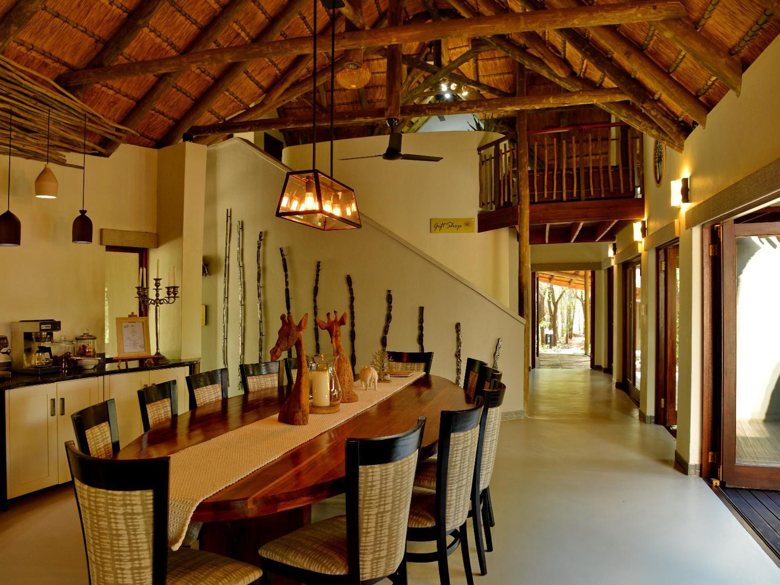 Tambuti Lodge Pilanesberg Pilanesberg Game Reserve North West Province South Africa 