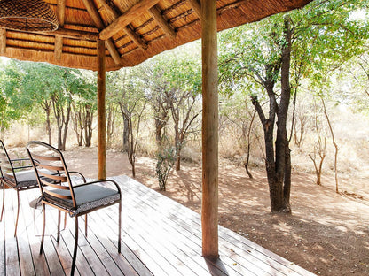 Tambuti Lodge Pilanesberg Pilanesberg Game Reserve North West Province South Africa 