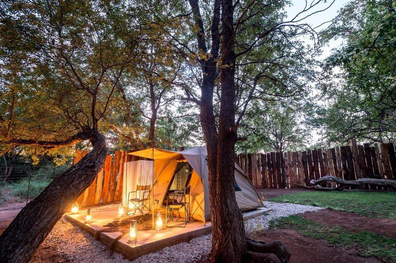 Tambuzi Safaris Balule Nature Reserve Mpumalanga South Africa Tent, Architecture