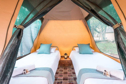 Tambuzi Safaris Balule Nature Reserve Mpumalanga South Africa Complementary Colors, Tent, Architecture, Bedroom