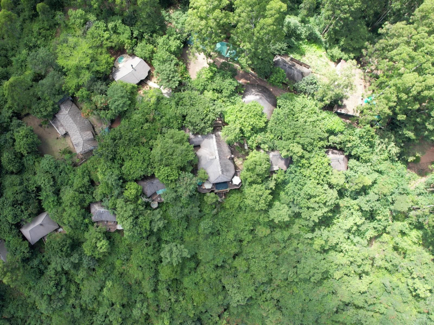 Tanamera Lodge Hazyview Mpumalanga South Africa Forest, Nature, Plant, Tree, Wood, Aerial Photography