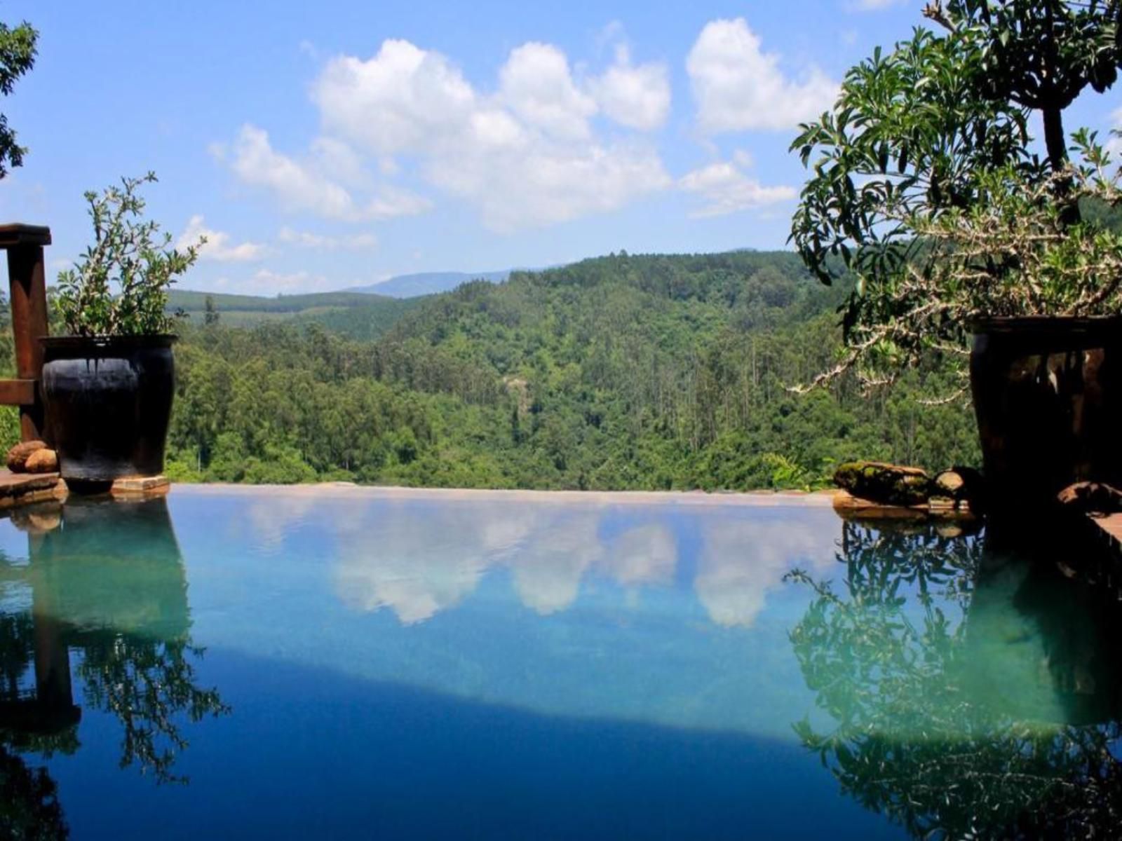 Tanamera Lodge Hazyview Mpumalanga South Africa Swimming Pool