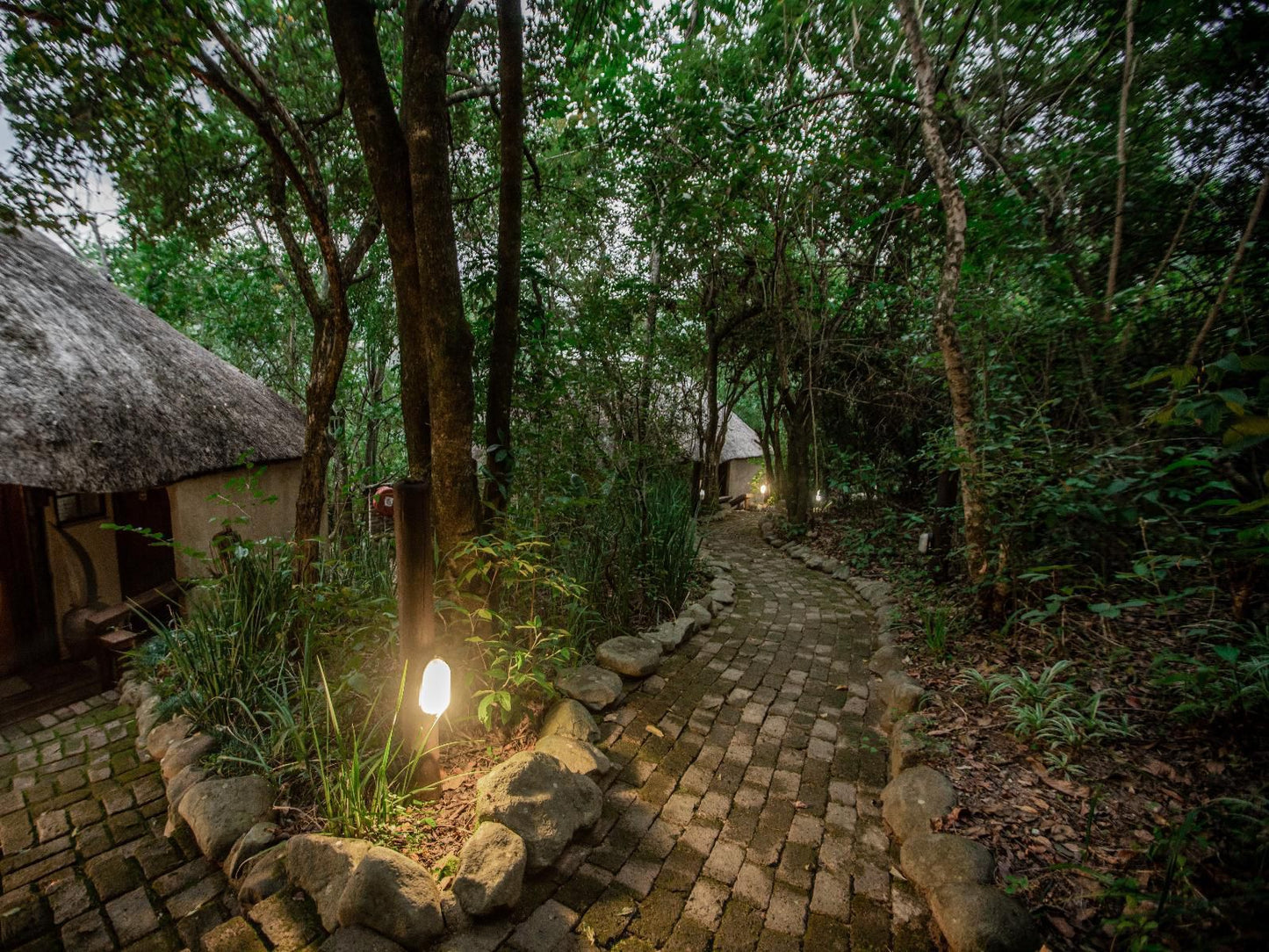 Tanamera Lodge Hazyview Mpumalanga South Africa 