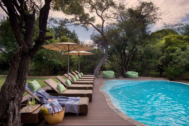 Tanda Tula Safari Camp Timbavati Reserve Mpumalanga South Africa Garden, Nature, Plant, Swimming Pool