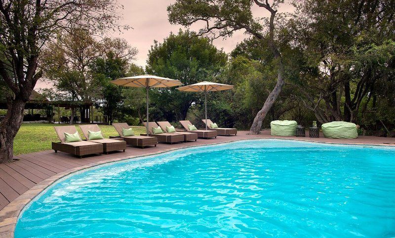 Tanda Tula Safari Camp Timbavati Reserve Mpumalanga South Africa Garden, Nature, Plant, Swimming Pool