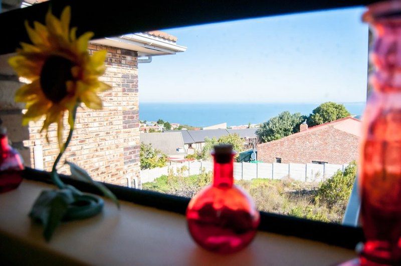 T And H Sauer Guest House Dana Bay Mossel Bay Western Cape South Africa Beach, Nature, Sand, Bottle, Drinking Accessoire, Drink, Plant, Window, Architecture, Framing