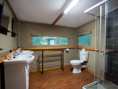 Tangala Safari Camp Thornybush Game Reserve Mpumalanga South Africa Bathroom