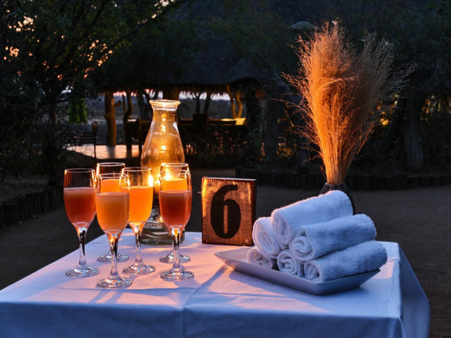 Tangala Safari Camp Thornybush Game Reserve Mpumalanga South Africa Drink, Food