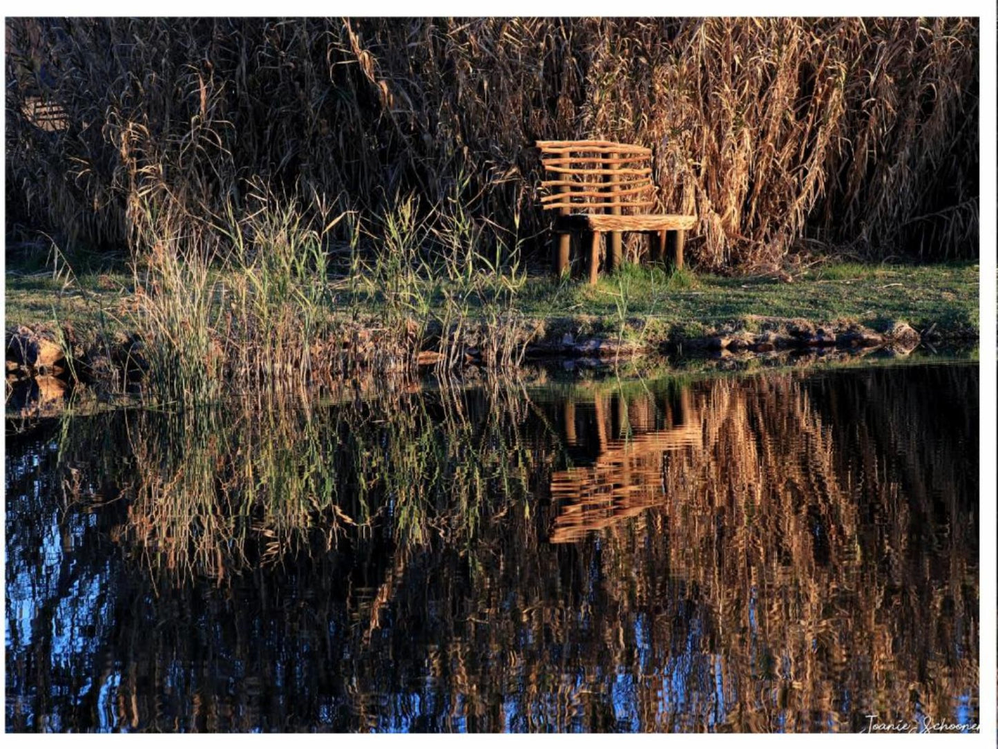 Tanglewood Nature Estate