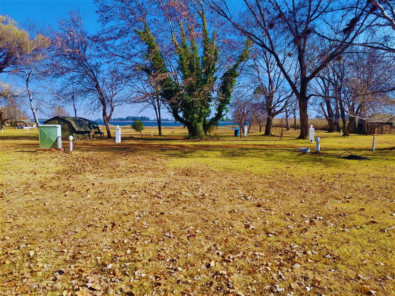 Tanglewood Nature Estate, Camping Stand 24, Cemetery, Religion, Grave