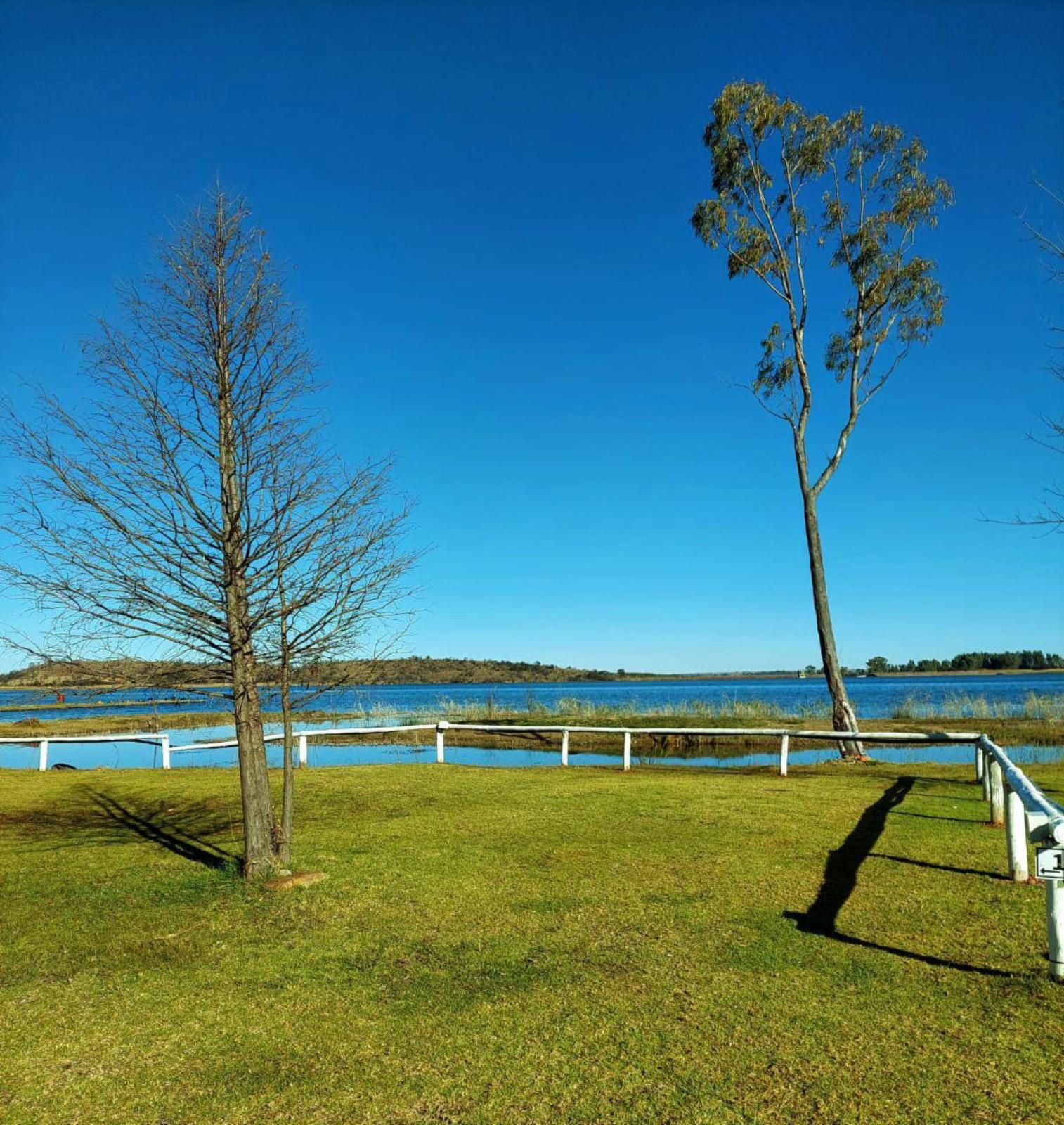 Tanglewood Nature Estate, Camping Stand 25, Colorful, Beach, Nature, Sand, Tree, Plant, Wood