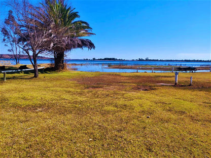 Tanglewood Nature Estate, Camping Stand 31, Colorful, Beach, Nature, Sand, Palm Tree, Plant, Wood