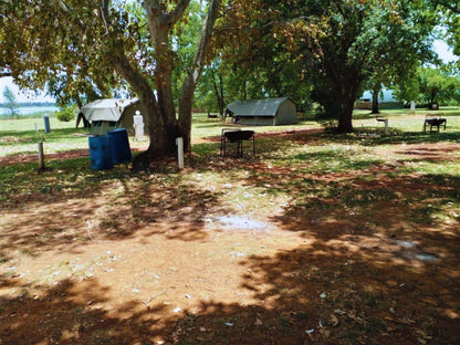 Tanglewood Nature Estate, Camping Stand 34, Tent, Architecture, Tree, Plant, Nature, Wood