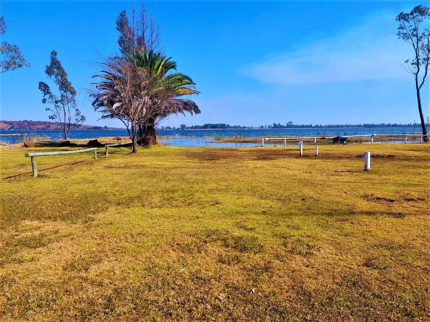 Tanglewood Nature Estate, Camping Stand 34, Colorful, Beach, Nature, Sand, Palm Tree, Plant, Wood