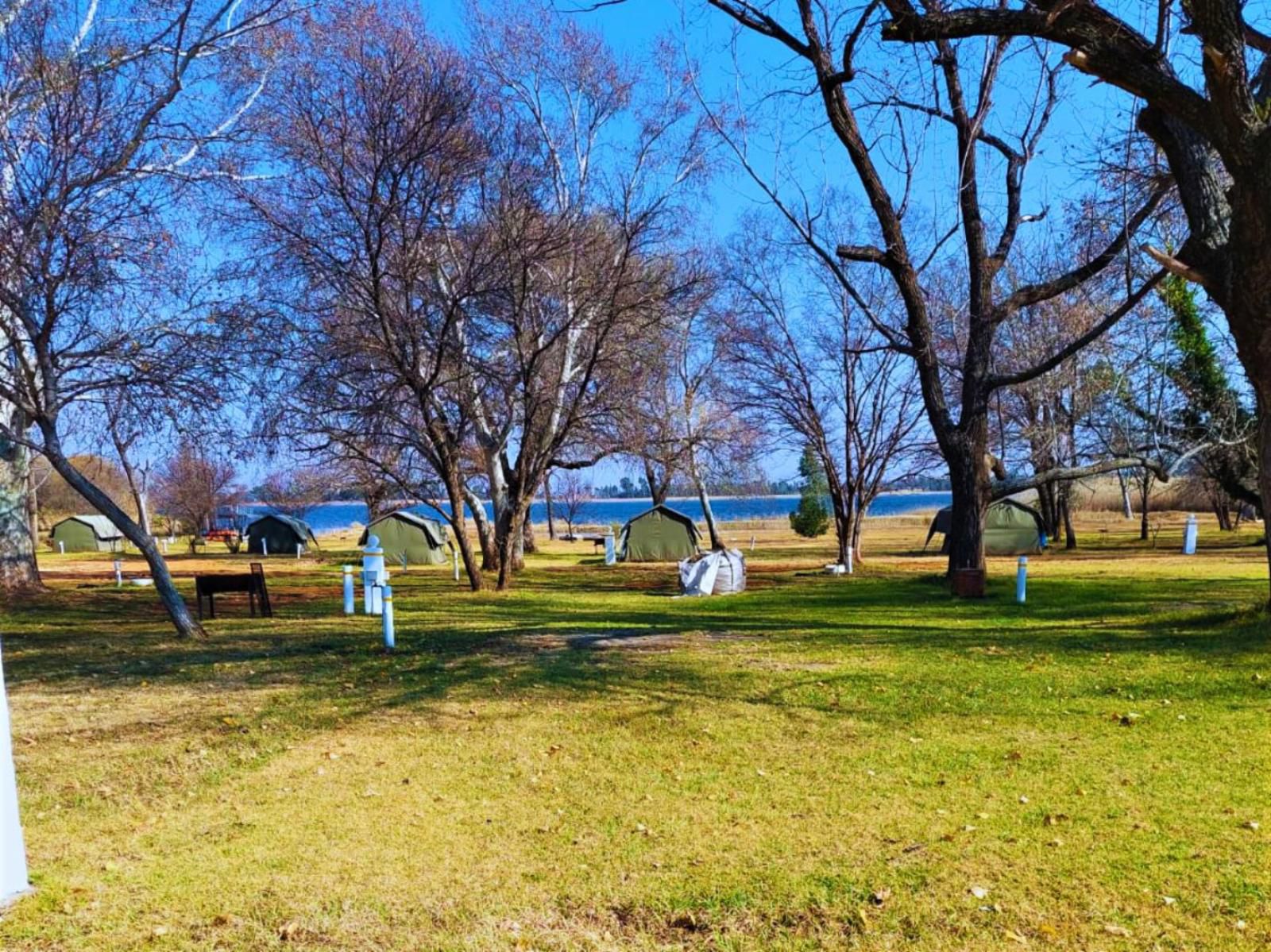 Tanglewood Nature Estate, Camping Stand 4