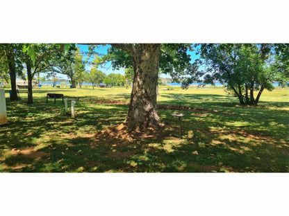 Tanglewood Nature Estate, Lodge Tent 15 (3/4), Tree, Plant, Nature, Wood, Lowland