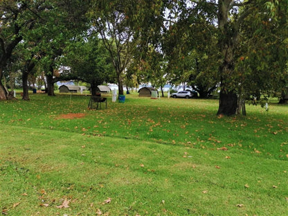 Tanglewood Nature Estate, Lodge Tent 16 (Q), Tree, Plant, Nature, Wood, Autumn, Cemetery, Religion, Grave