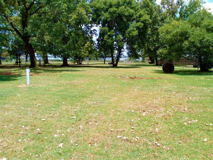 Tanglewood Nature Estate, Lodge Tent 17b (Q), Tree, Plant, Nature, Wood, Ball Game, Sport, Cemetery, Religion, Grave, Lowland