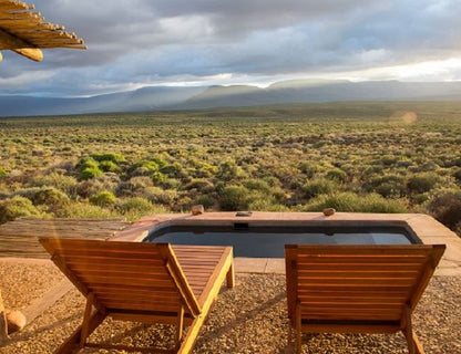 Tankwa Karoo Rest Camp Tankwa Karoo National Park Sanparks Tankwa Karoo National Park Northern Cape South Africa Cactus, Plant, Nature, Desert, Sand