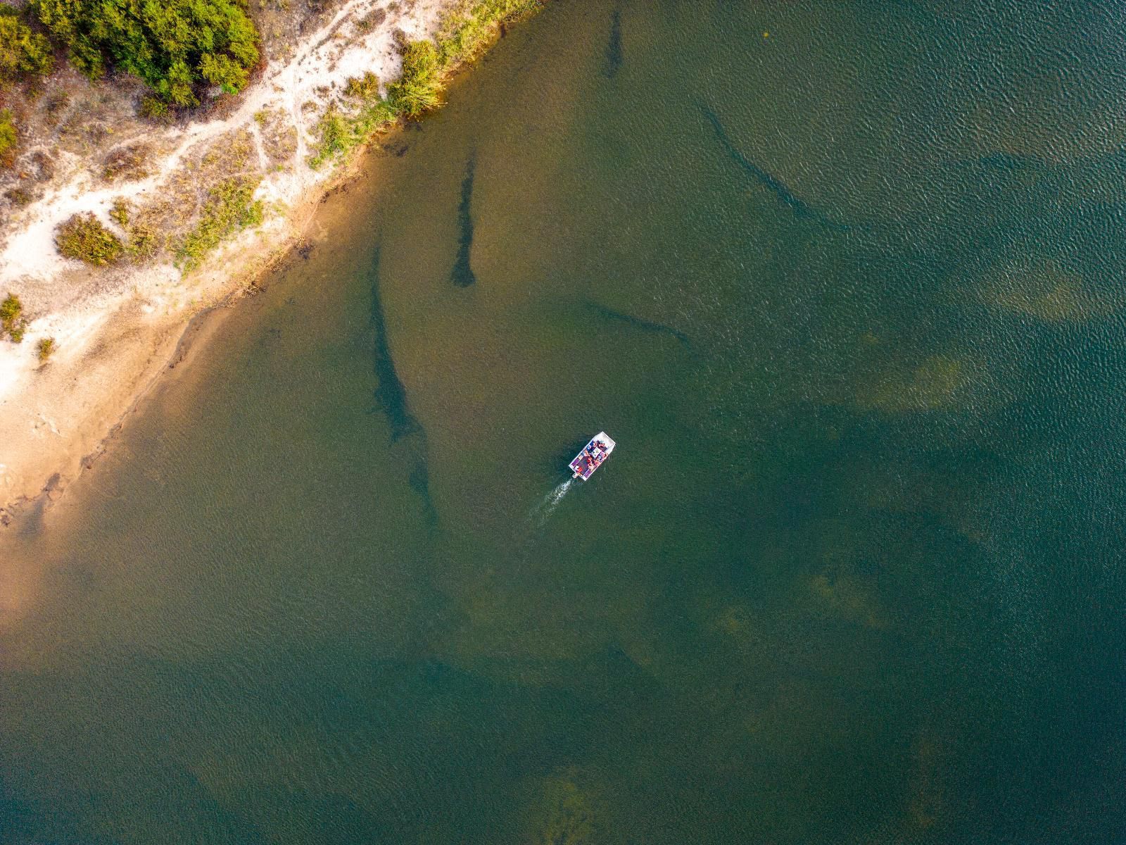 Taranga Safari Lodge, River, Nature, Waters, Aerial Photography