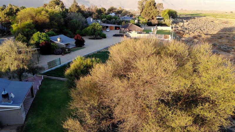 Tarantula Self Catering Accommodation Calvinia Northern Cape South Africa House, Building, Architecture, Plant, Nature, Garden