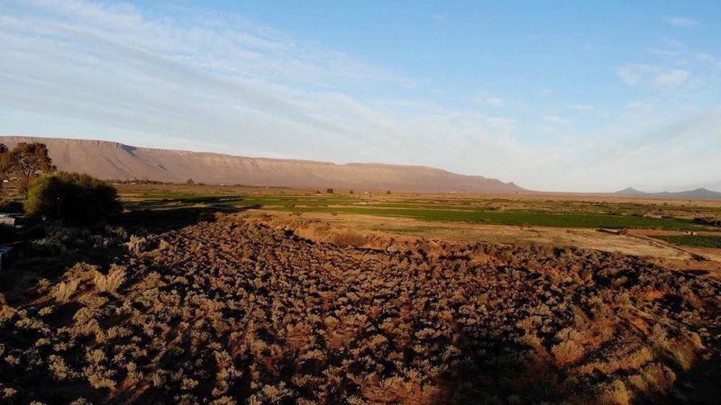 Tarantula Self Catering Accommodation Calvinia Northern Cape South Africa Complementary Colors, Desert, Nature, Sand, Lowland