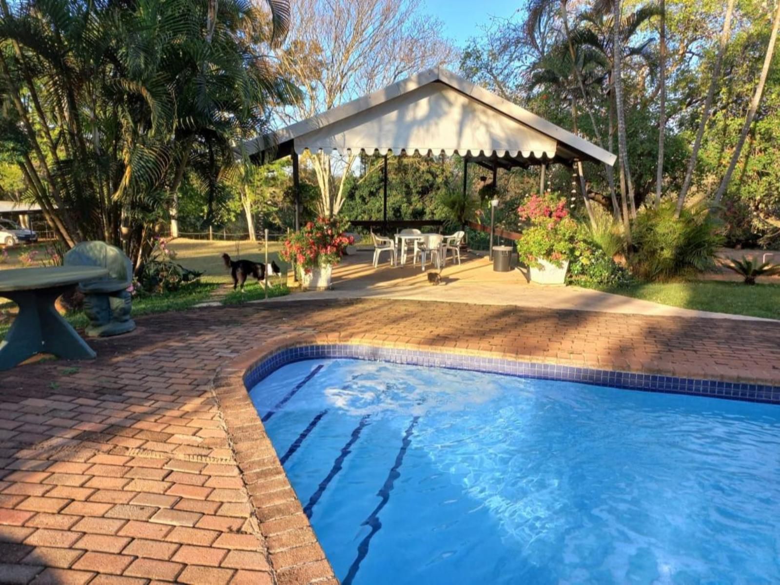 Tarentilos Tzaneen Limpopo Province South Africa Complementary Colors, Palm Tree, Plant, Nature, Wood, Garden, Swimming Pool