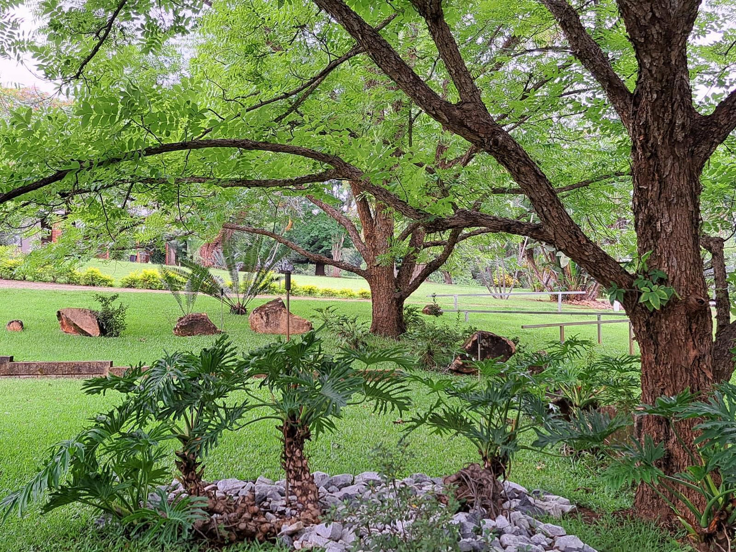 Tarentilos Tzaneen Limpopo Province South Africa Plant, Nature, Garden