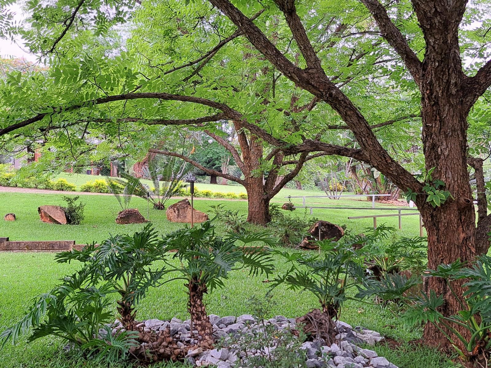 Tarentilos Tzaneen Limpopo Province South Africa Plant, Nature, Garden
