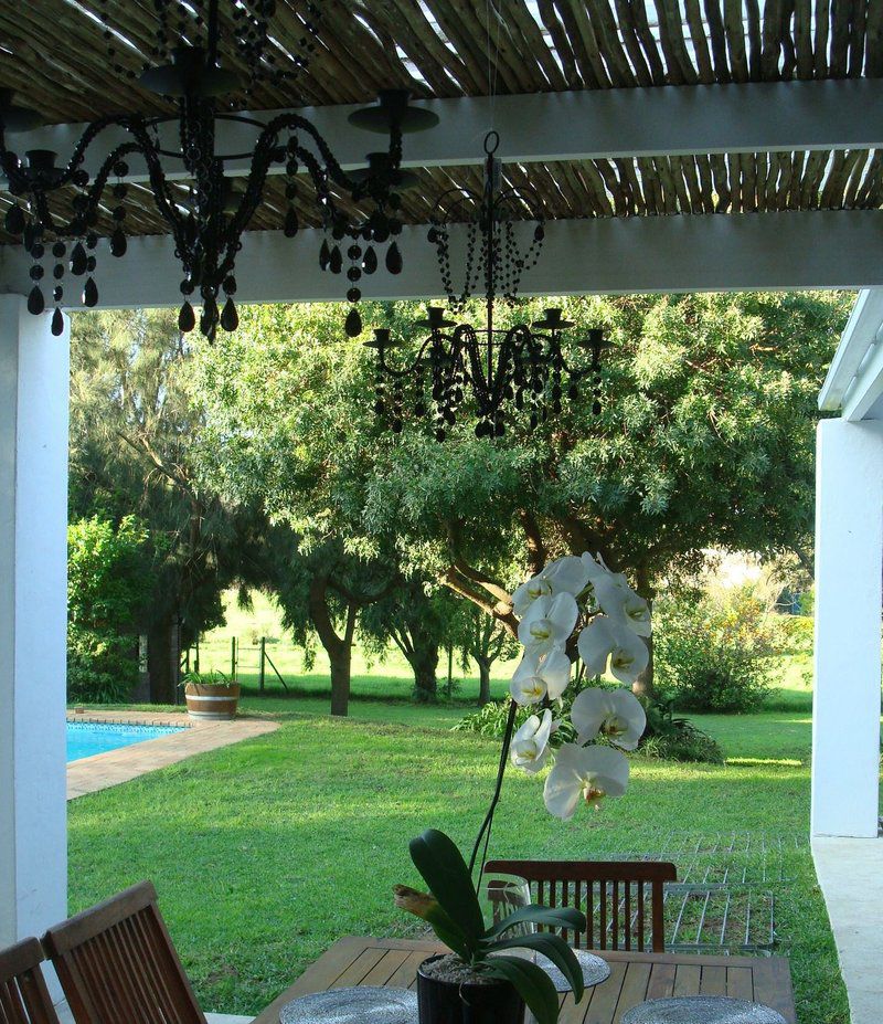 Taronga Villa Constantia Cape Town Western Cape South Africa Plant, Nature, Garden